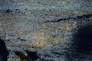 Cross Polarized, S90590