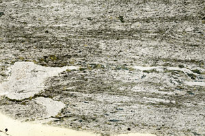 Plane Polarized, S90591