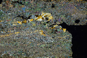Cross Polarized, S90598