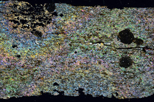 Cross Polarized, S90608