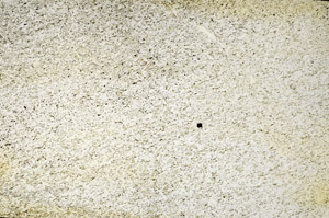 Plane Polarized, S90622