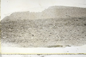 Plane Polarized, S90628