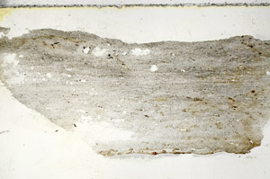 Plane Polarized, S90629