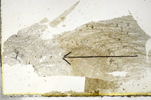 Plane Polarized, S90636