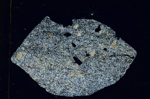Cross Polarized, S90638