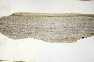 Plane Polarized, S90643