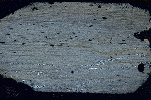 Cross Polarized, S90644