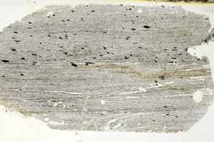 Plane Polarized, S90644