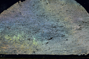 Cross Polarized, S90646/A