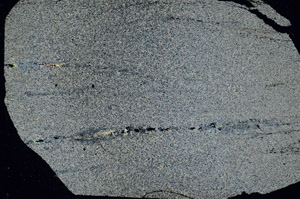 Cross Polarized, S90648