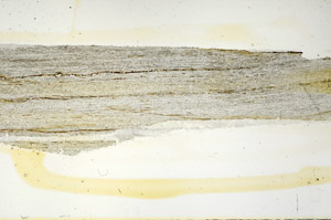 Plane Polarized, S90653