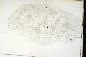 Plane Polarized, S90654