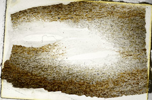 Plane Polarized, S90655