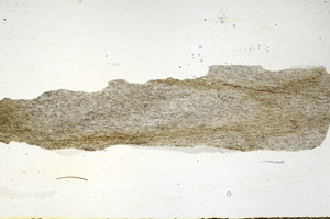 Plane Polarized, S90657
