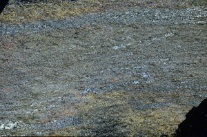 Cross Polarized, S90659