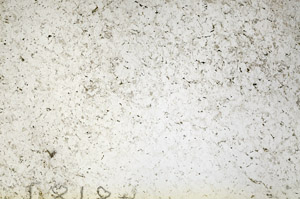 Plane Polarized, S90663
