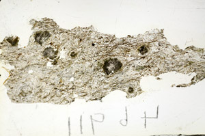 Plane Polarized, S90668