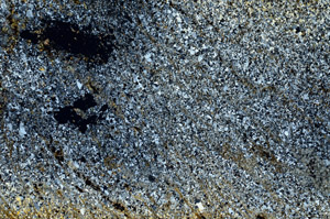 Cross Polarized, S90669
