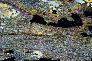 Cross Polarized, S90670