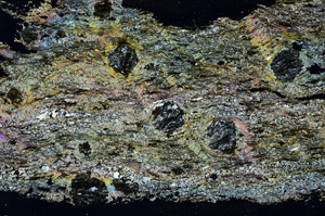 Cross Polarized, S90673