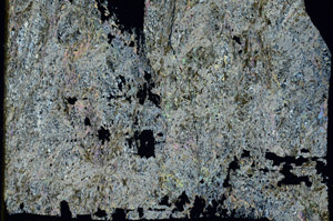 Cross Polarized, S92201