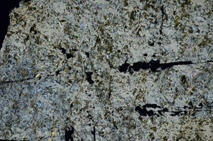 Cross Polarized, S92207