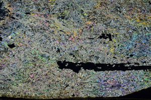 Cross Polarized, S92216