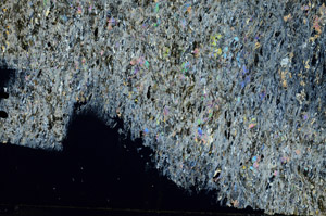 Cross Polarized, S92226