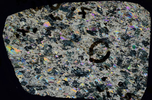 Cross Polarized, S92243