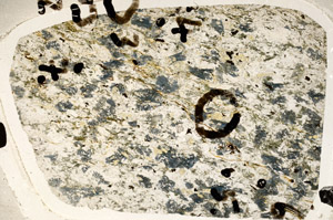 Plane Polarized, S92243