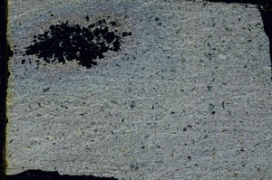 Cross Polarized, S92261