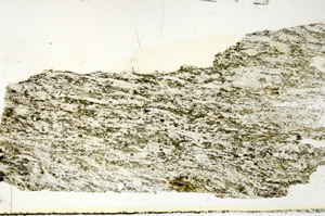 Plane Polarized, S92289