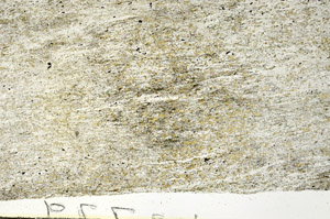 Plane Polarized, S92291