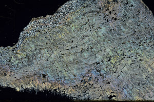 Cross Polarized, S92297