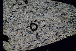 Cross Polarized, S92300/A