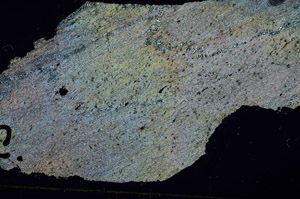 Cross Polarized, S92302