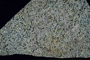 Cross Polarized, S92303