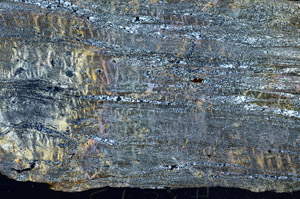 Cross Polarized, S92308