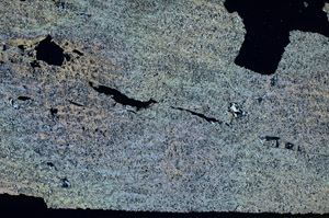 Cross Polarized, S92315