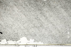 Plane Polarized, S92319