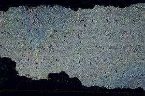 Cross Polarized, S92323/A