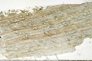 Plane Polarized, S92343