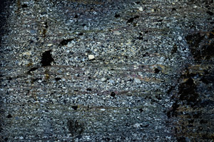 Cross Polarized, S92357