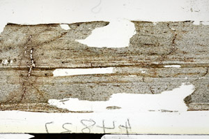 Plane Polarized, S92361