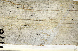 Plane Polarized, S92368