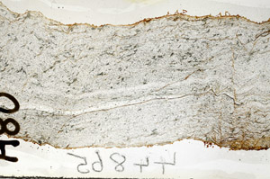 Plane Polarized, S92371