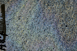 Cross Polarized, S92374