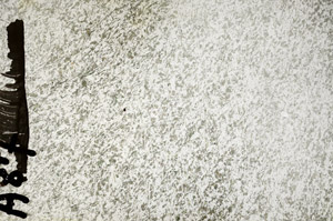 Plane Polarized, S92374