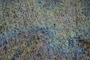 Cross Polarized, S92374/A