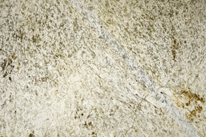 Plane Polarized, S92374/A